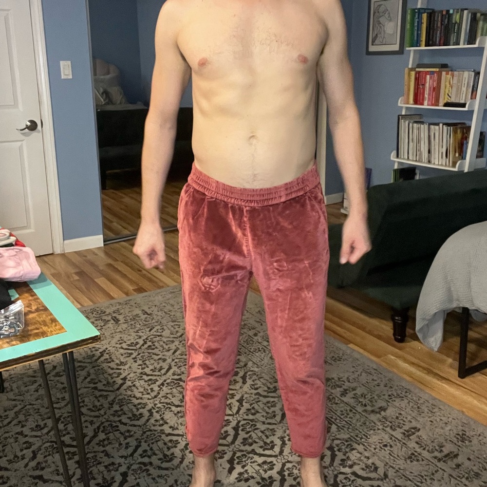 Medium Oxblood Velvet/Cotton Madewell Pants